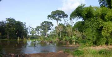 Etude de tracé et Etude d’Impact Environnemental et Social (EIES) de la ligne de 225 kV entre Nzérékoré en Guinée et Bamako au Mali