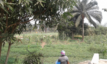 Projet de développement urbain et résilience de la ville province de Kinshasa. Etudes de lutte contre l’érosion et les inondations dans la commune de Kisenso à Kinshasa : Congo