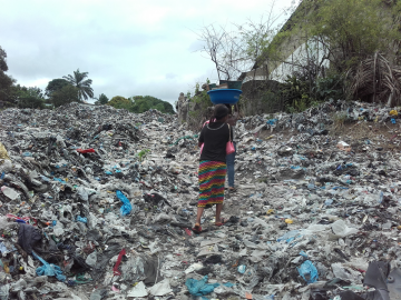 Etudes pour l’organisation de la collecte des déchets solides dans la région de Kinshasa et diagnostic préliminaire d’un Centre d’Enfouissement Technique - République Démocratique du Congo