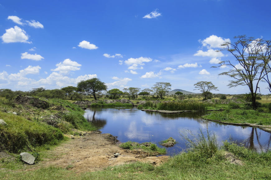 Aide au développement
