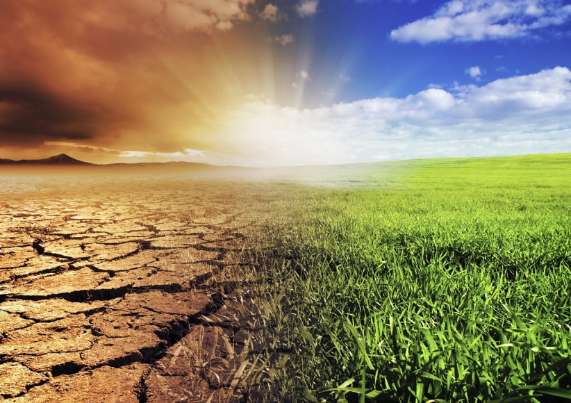 Plan przeciwdziałania skutkom suszy