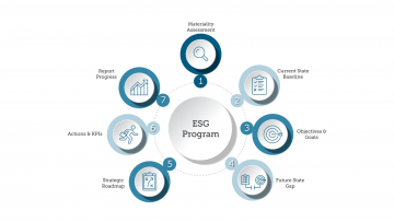 Complete support for your projects