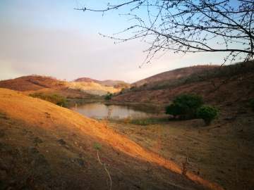 Investigação Ambiental Preliminar / Phase I ESA