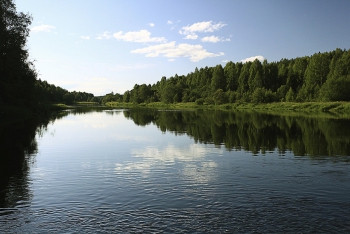 The Business Case for Water Management