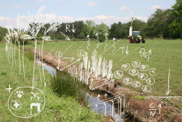 Ecosysteemdiensten in ruimtelijke ontwikkelingsprocessen