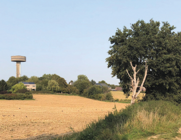 Landschap Woluweveld in Brussel