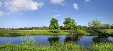Veerkrachtige kust en rivieren