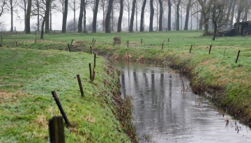 ecosysteemdienst water weide