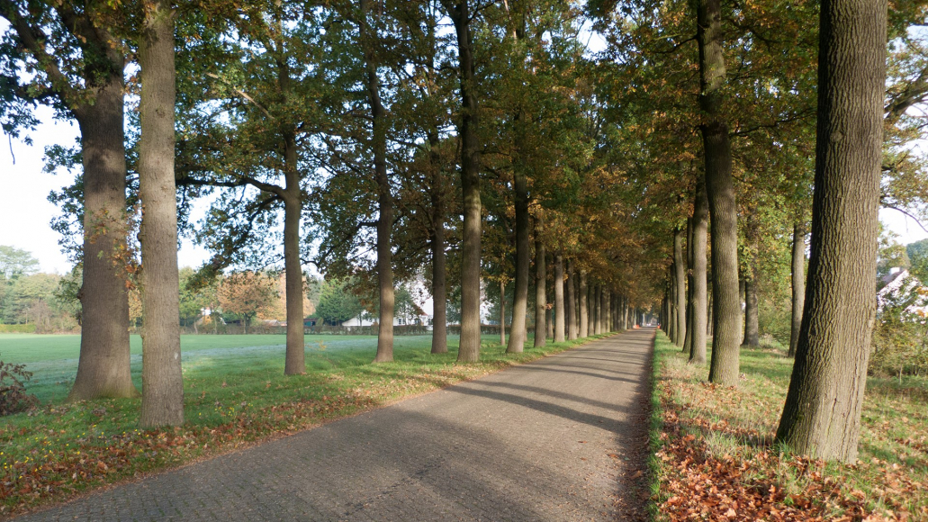 Wortel-Kolonie declared a UNESCO World Heritage Site