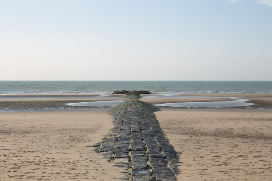 belgische20kust