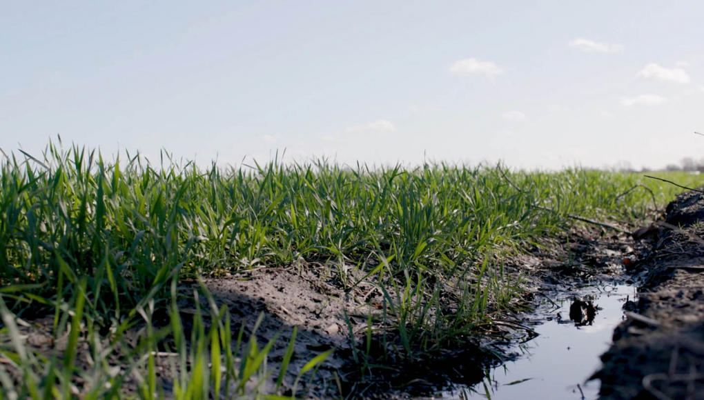 Sustainable soil management as a collective responsibility